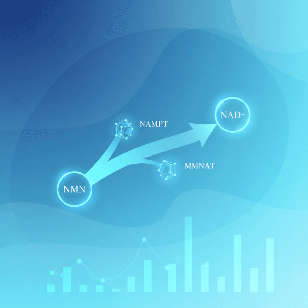 NMN NAD Clinical Trials 2026 Evidence Summary GLP 1 science nmn-nad-clinical-trials-2026-evidence-summary-glp-1-science